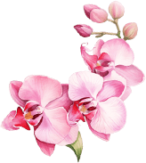 گل بنر گلی 2